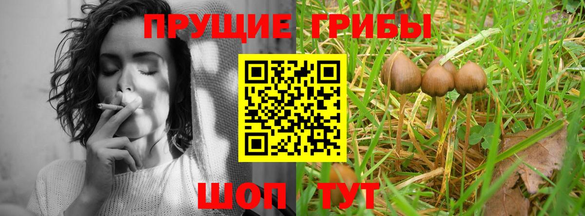 купить наркотик  Вход с VPN  Среднеуральск  Галлюциногенные грибы ЛСД 